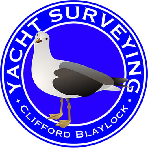 Logo of Yacht Surveying